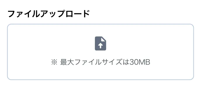 ファイルアップロード欄に「※ 最大ファイルサイズは30MB」と制限が表示されたフォームの例