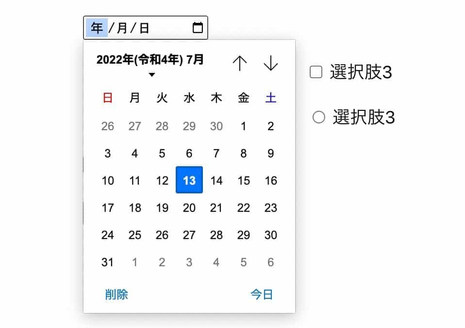 日付フィールドのカレンダーピッカーで2022年7月13日を選択している